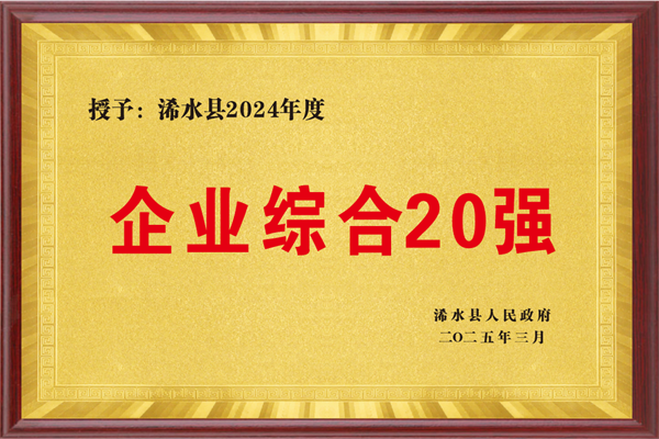 企业综合20强